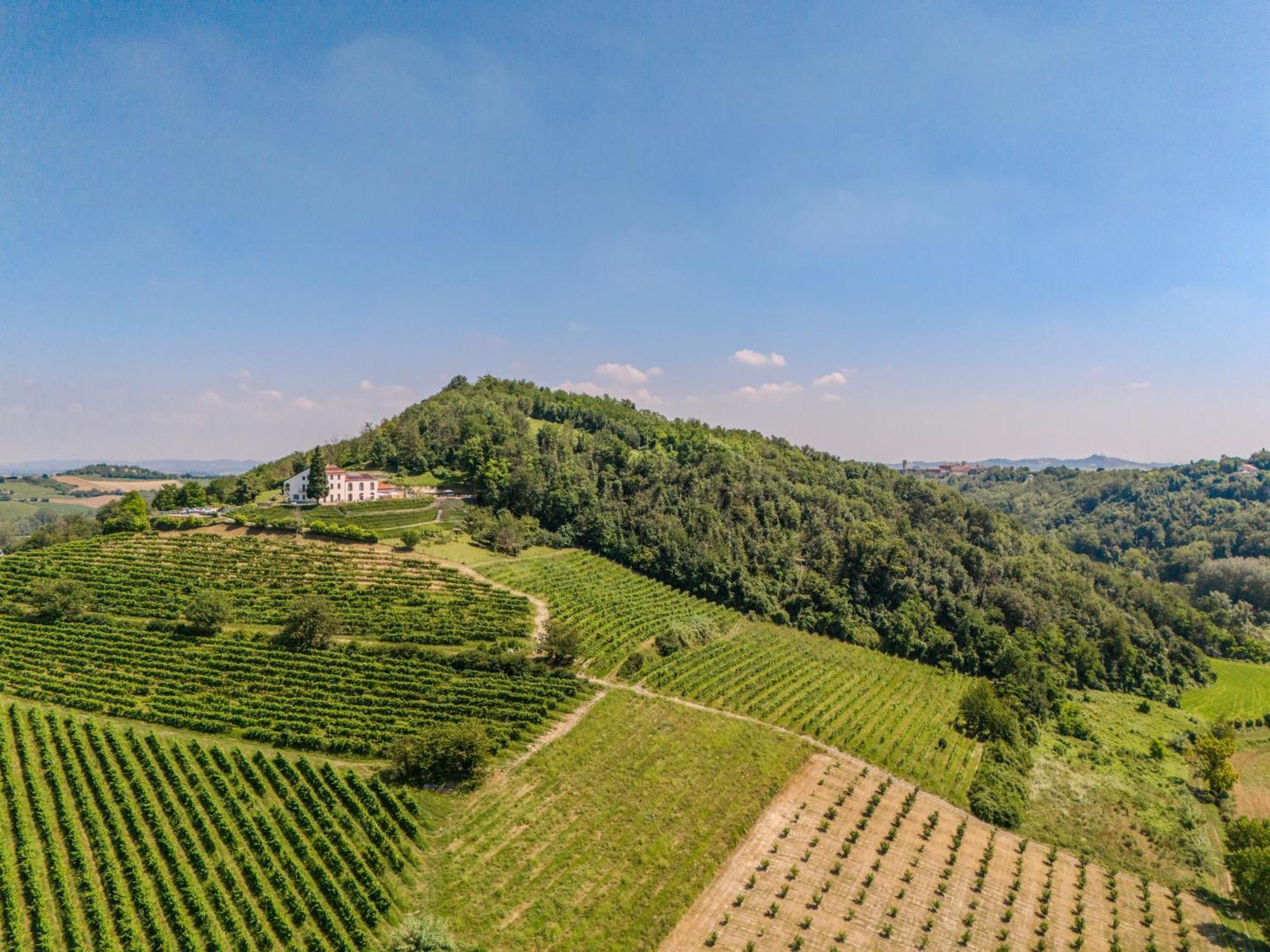 Villa Rocco Country House Ozzano Monferrato Экстерьер фото